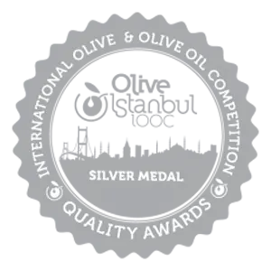5.-Silver