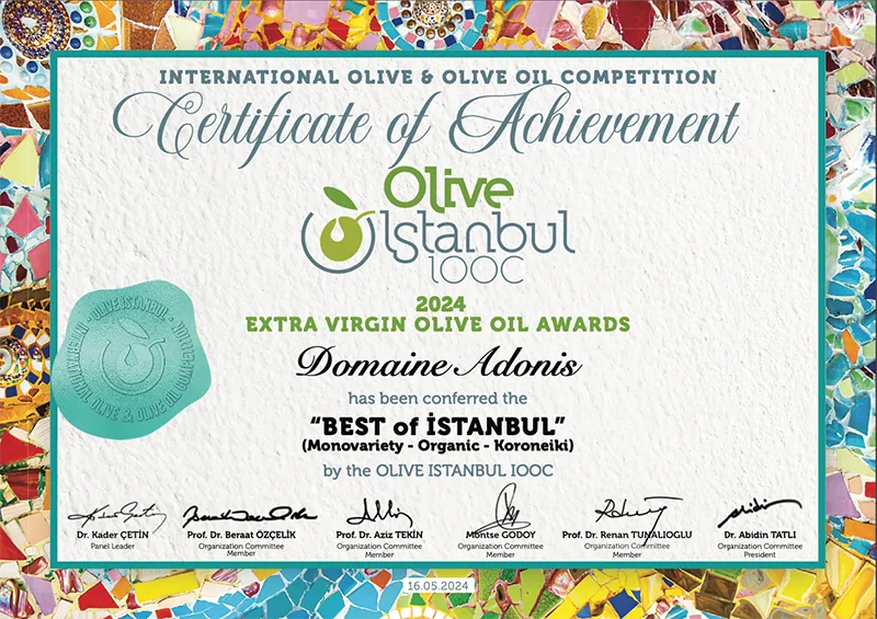Olive-Oil-2024-Best-of-Istanbul