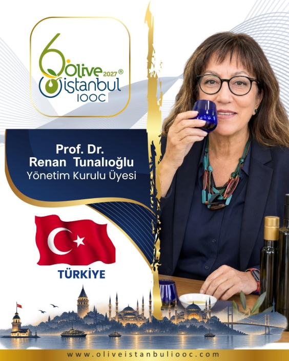 Yönetim Kurulu Üyesi